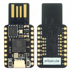 Moduli scheda di sviluppo MINI USB RP2040 per Raspberry Pi Dual Core 4MB