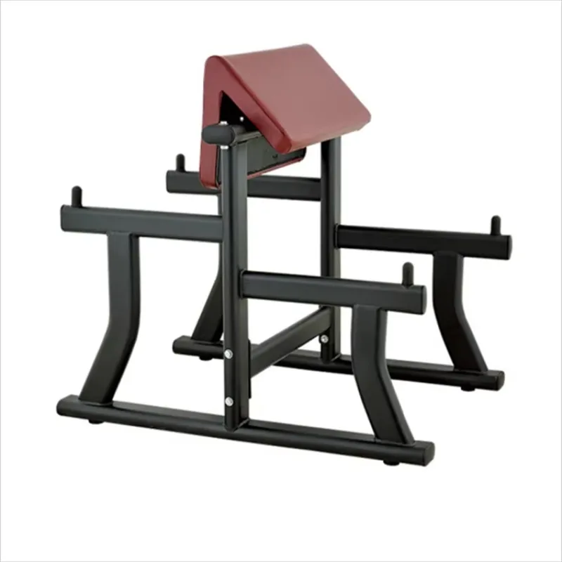 

Arm Curl Bench Preacher Curl Bench Biceps Isolation Strength Trainer Commercial Gym Fitness Equipment