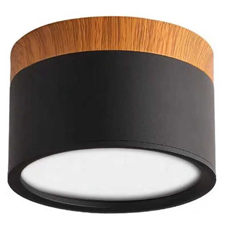 LED For Indoor Living Room Foyer Ceiling Downlight Nordic Style Mounted Spot Light