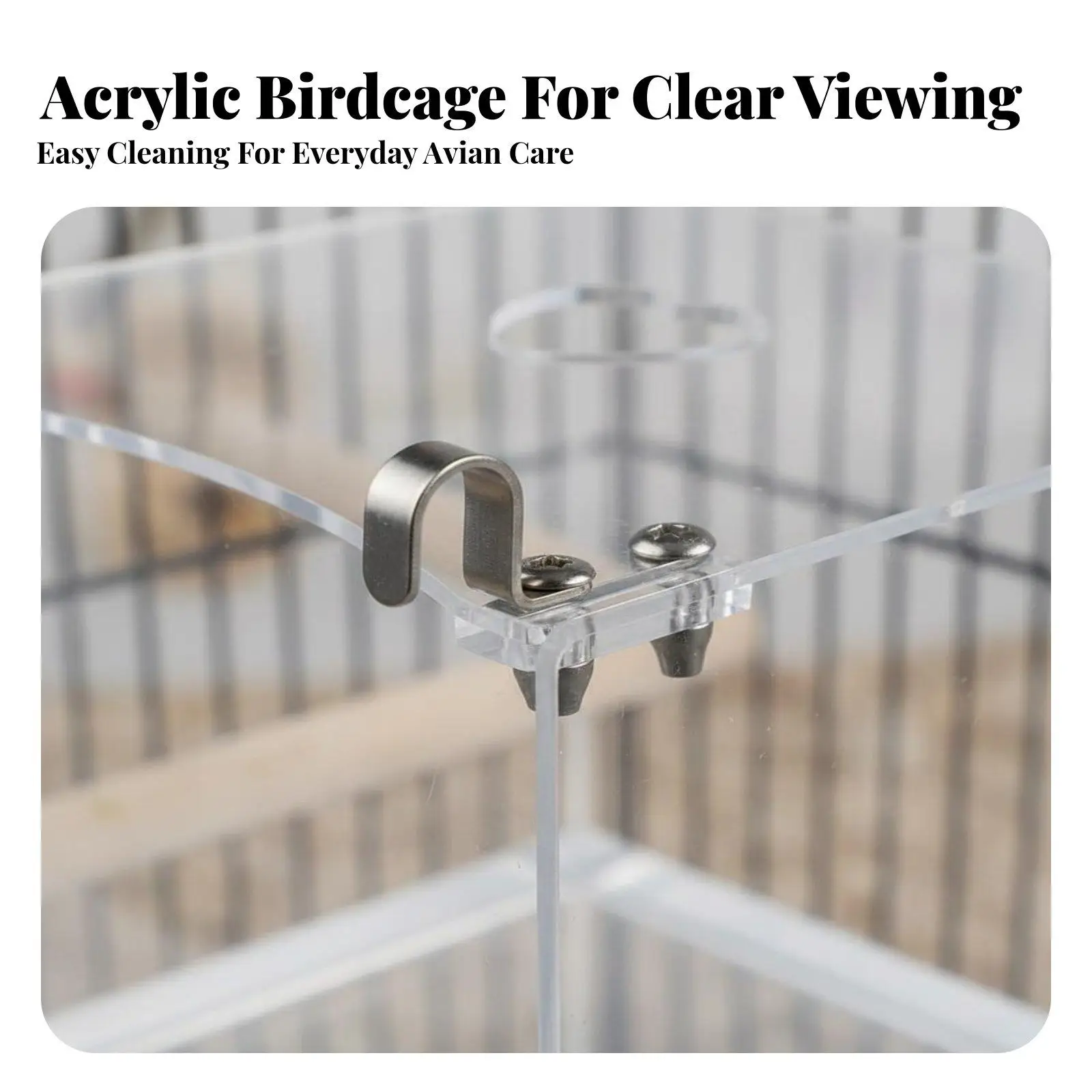 Bird Bath for Cage Acrylic Transparent Shower Box for Small Birds Parakeets Cockatiels Lovebirds with Metal Hooks Splatter