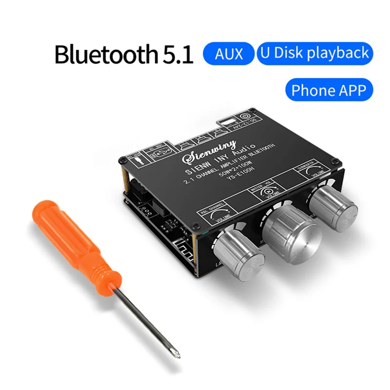 50Wx2+100W YS-E100H 2.1 Subwoofer Hi-Lo TPA3116 Modulo scheda amplificatore a canale conveniente portatile