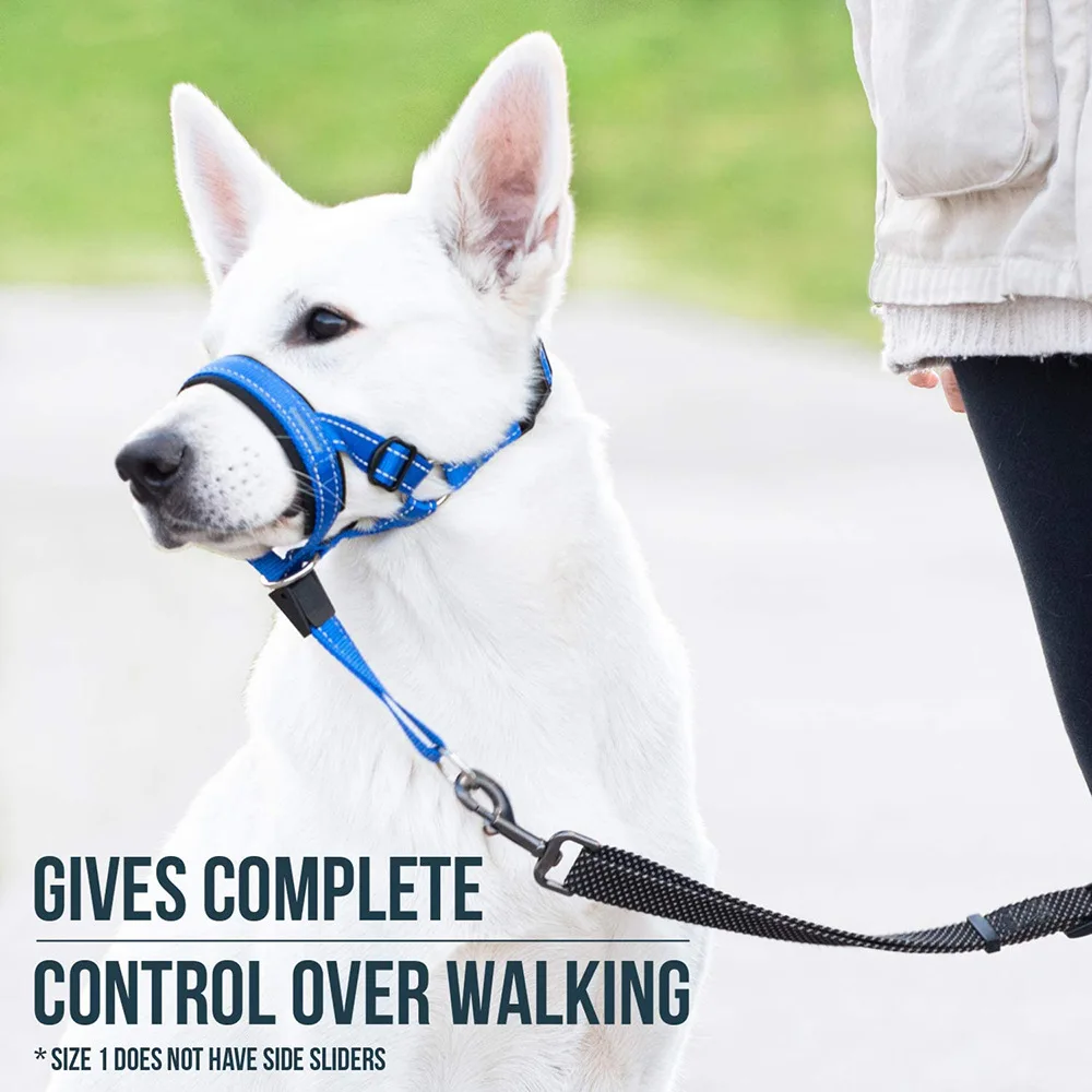 

New dog mouth cover, adjustable, anti-bite mask, dog pet traction set, training belt for pets