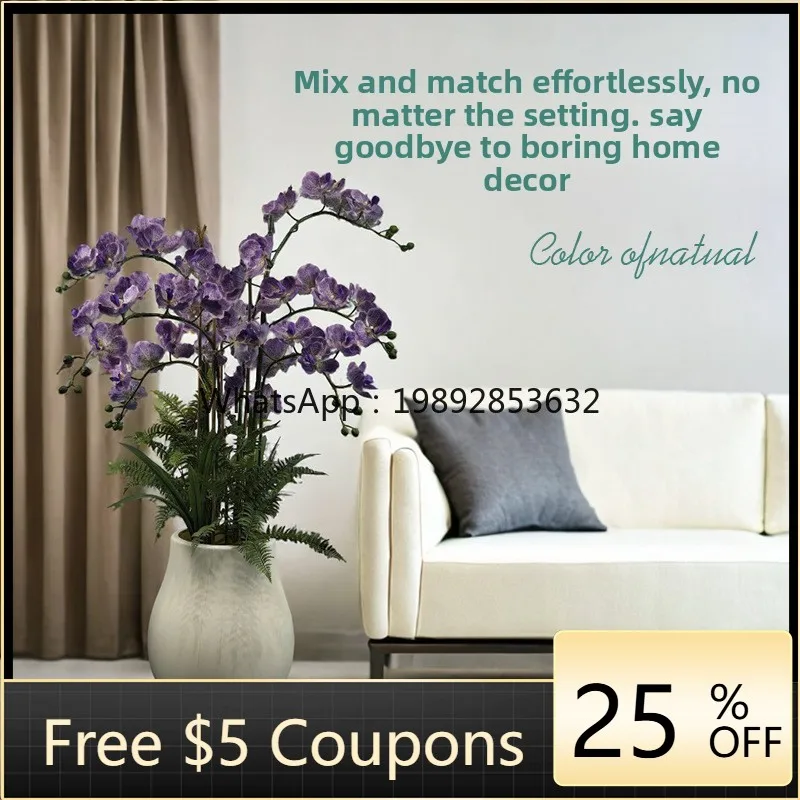 Zc European Style A…