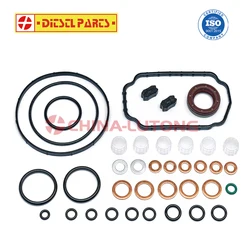 Kit di ricostruzione della guarnizione della guarnizione della pompa dell'iniettore di carburante Diesel per Bosch 1467010059, Kit di revisione della pompa VE per Cummins 4BT 12V Dodge 2500 3500