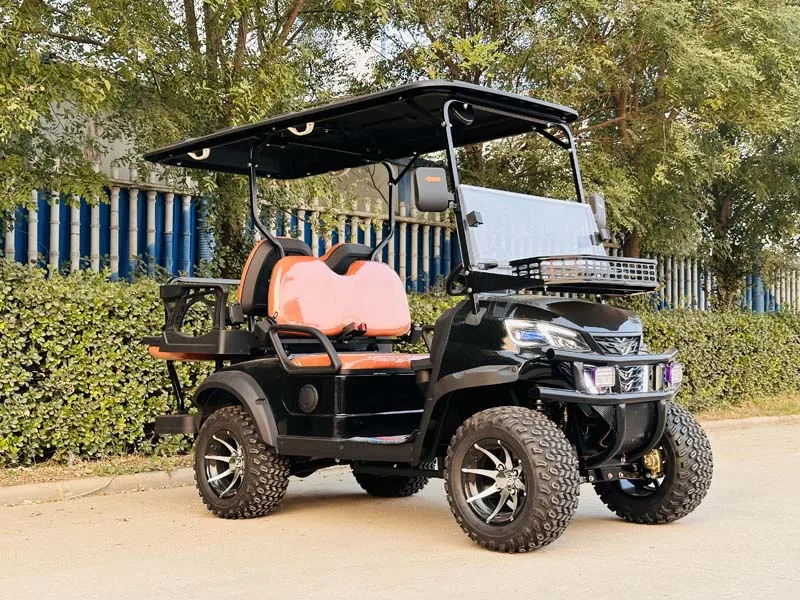 مصنع تطبيق عربة الغولف الكهربائية 2 + 2 مقاعد مع مكيف الهواء الساخن بيع #6