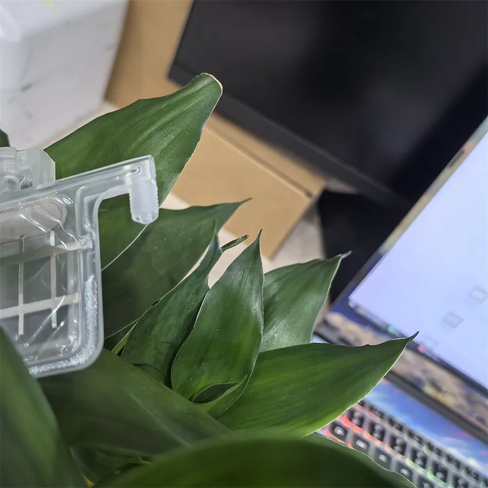 10PCS DX5 DX4 Big I…