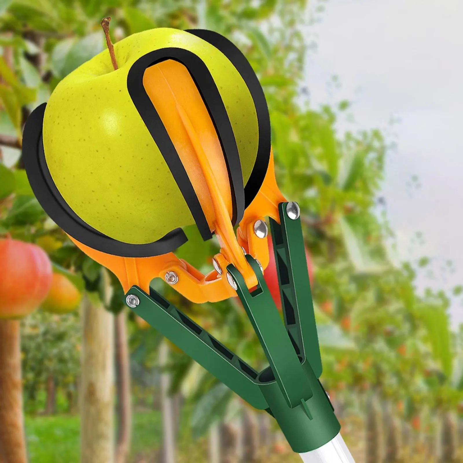 Imagem -03 - Pólo Coletor de Frutas Alça Longa Ajustável Selecionador de Manga Ferramenta Colheitadeira de Frutas para Laranja Peras Limão Guavas Abacate