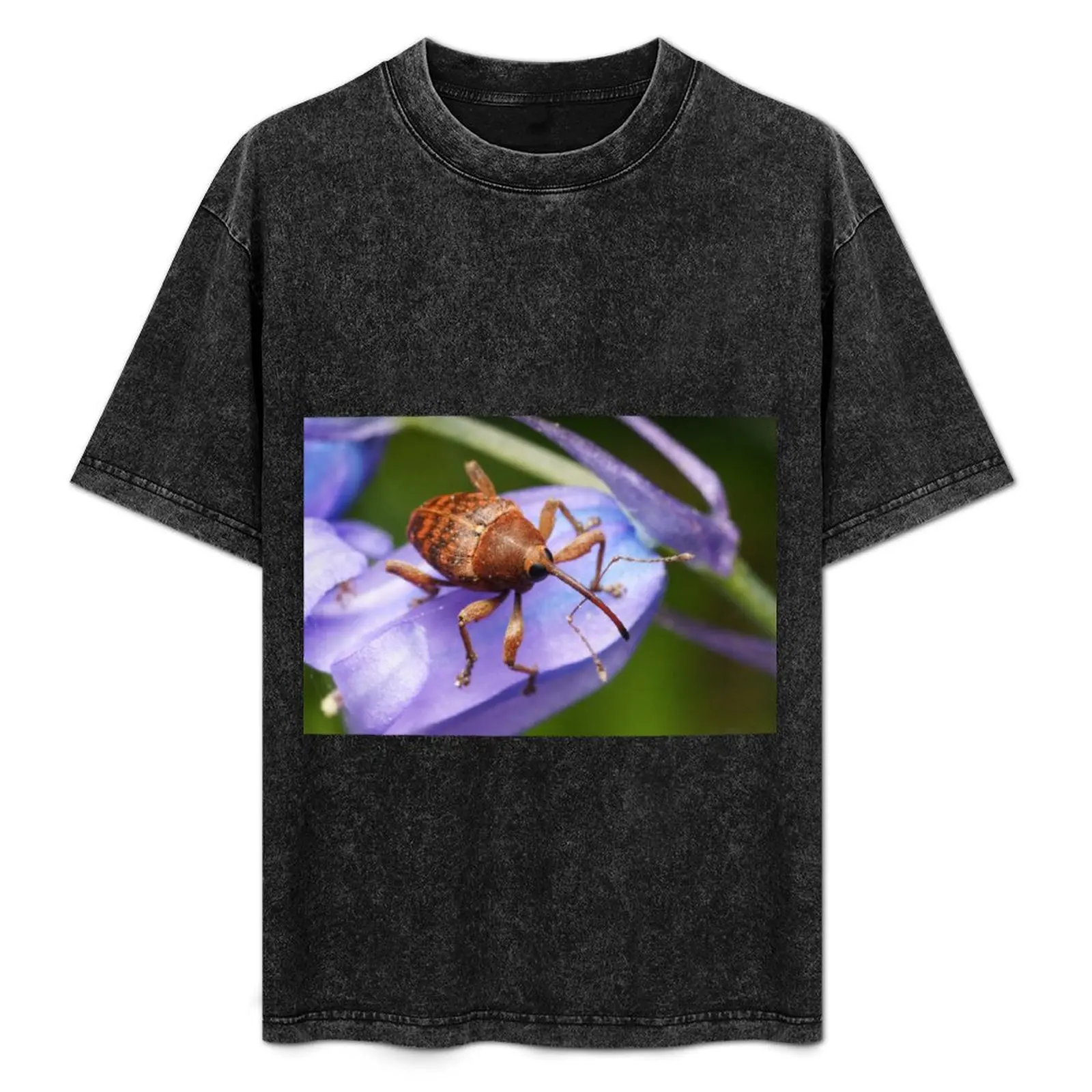 

Weevil T-Shirt Soft Lightweight Cotton T-Shirt
