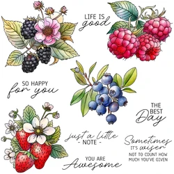 Mangocraft Spring Sweet Berry Fruits Clear Stamp DIY Scrapbooking Supplies Silicone Stamp For Card Making Albums Crafts Decor