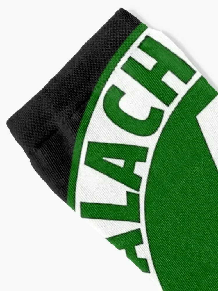 Appalachian Trail Logo Class of 2021 Hiker Socks cool Hiking boots kids New year's Ladies Socks Men's