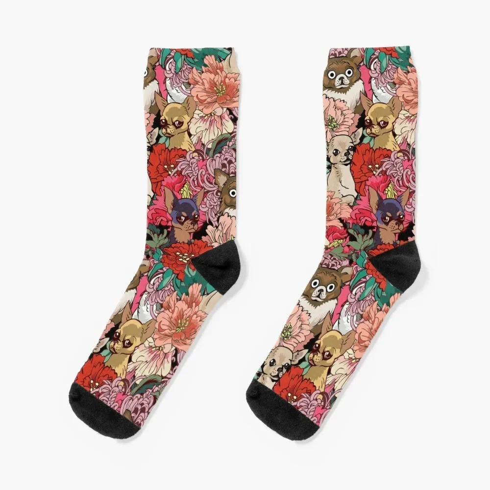 

Because Chihuahua Socks funny sock men cotton high quality Socks Girl Men's