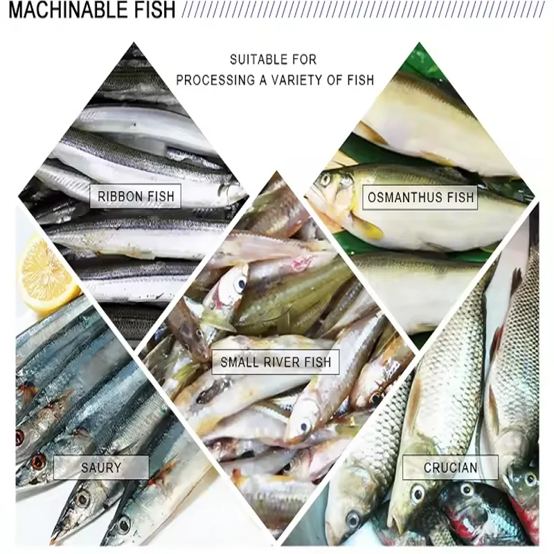 Máquina de corte de peixe totalmente automática multifuncional máquina de limpeza visceral de peixe máquina de matar peixes