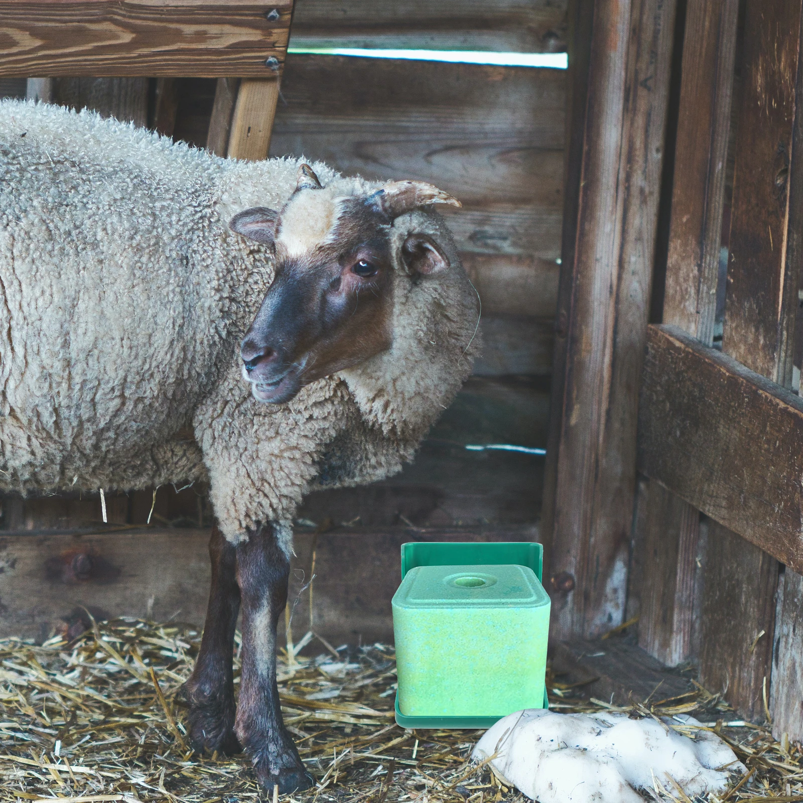 

Salt Brick Licking Box for Cattle Sheep Horse Livestock Feeder Durable PP Material Outdoor Feeding Container Practical Fodder