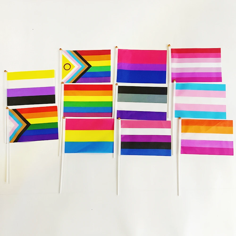 14x21cm Rainbow Pride Flag LGBTQIA Lesbian Gay Bisexual Transgender Queer Intersex Asexual Pansexual Nonbinary Genderfluid