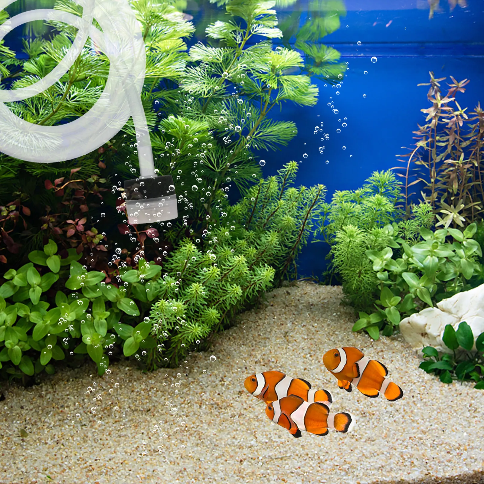 Aquarium Fish Long - 3 adet Premium silindirik sünger filtre