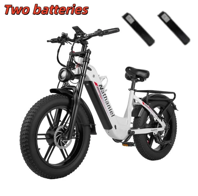 Nathaniel SYR08 Electric Bicycle 2000W Motor 48V 40Ah Battery electric bike 50km/h 20 Inch Tire off road riding mountian E-Bike image 5
