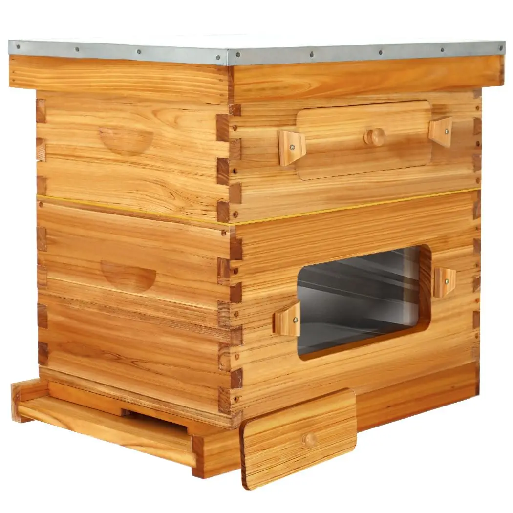 

8 Frame Langstroth Beehive, Beeswaxed Coated Starter Kit with Beehive Frames and Waxed Foundations (1 Deep Box & 1, Customized