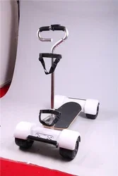 1600w 10 pollici condivisione quattro ruote Min elettrico Golf Skate Board Golfboard in vendita magazzino USA consegna veloce