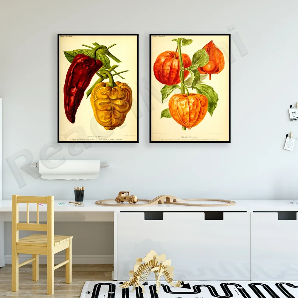 Kitchen retro prints fruits and vegetables retro poster pepper and physalis plant prints plant wall poster view 4