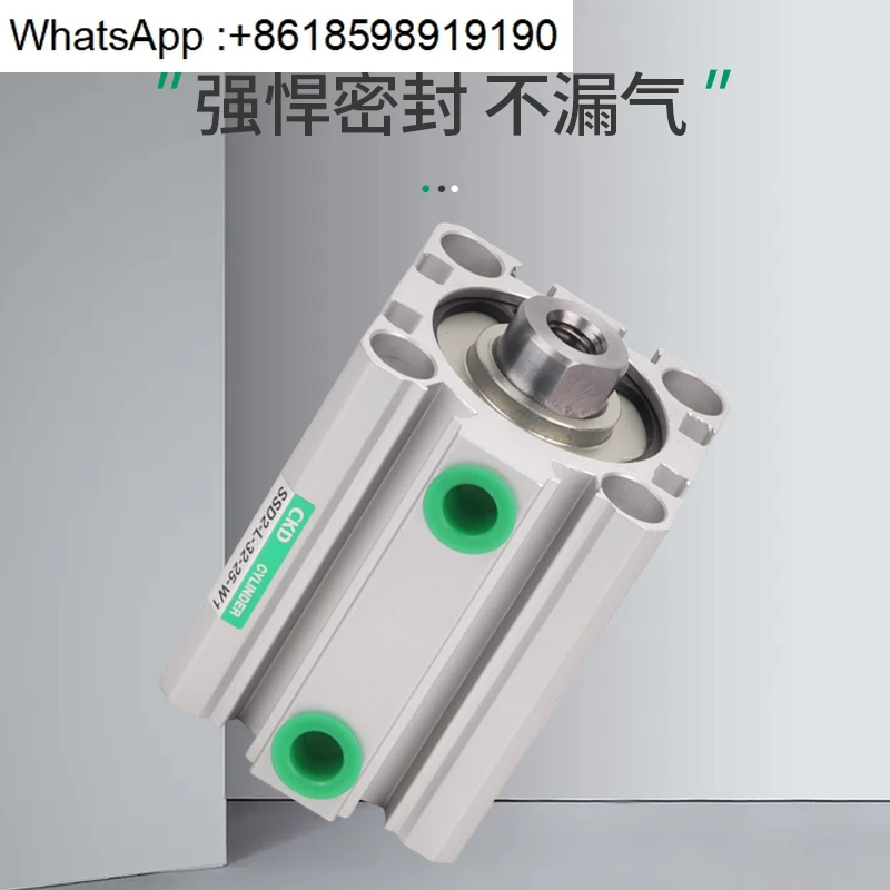 

Thin Cylinder Xikaili Standard Cylinder SSD2-50-20-W1