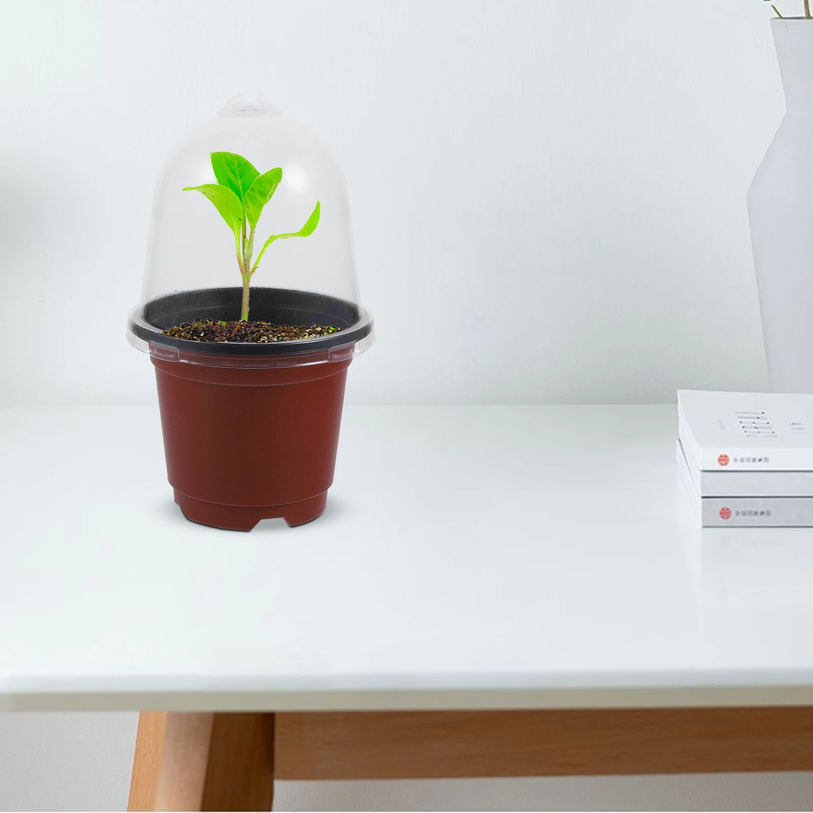 

10 set Nursery Pots With Humidity Dome Clear Plastic Starter Pots For Sowing Flower Planting Garden Supply Succulent Containers