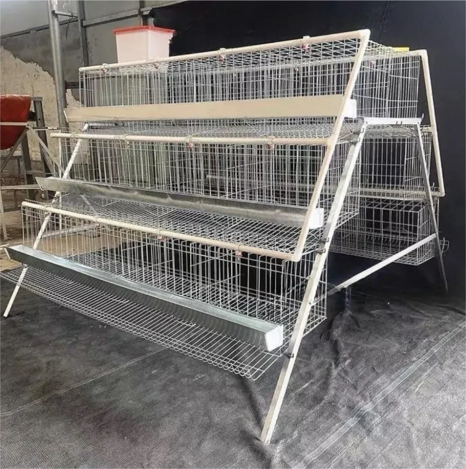 chicken laying cage galvanized automatic A type chicken cages layer poultry for farming