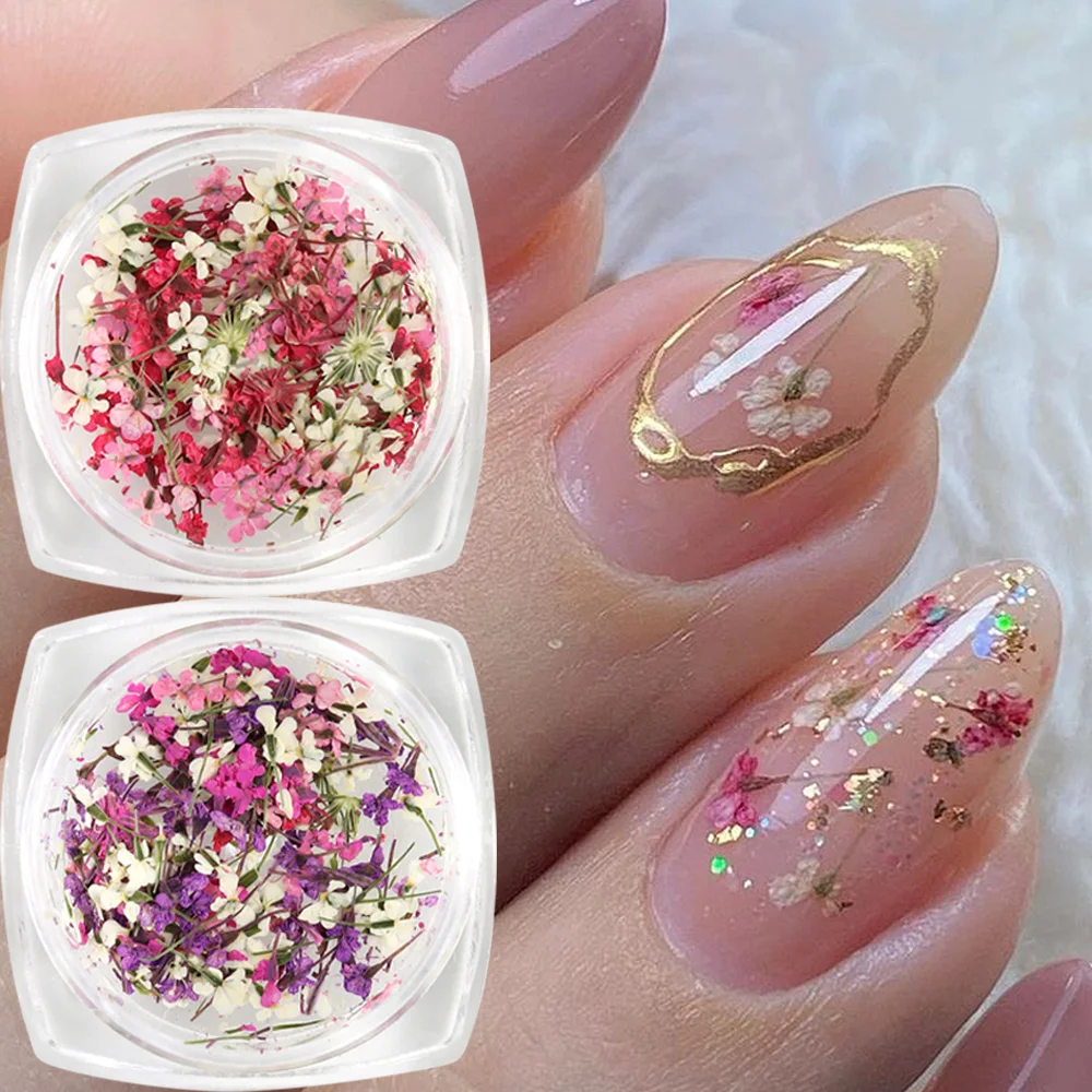 Fleurs séchées artificielles Gypsophila multicolores, feuilles en grappe pour décoration d'ongles, fournitures pour ongles printemps-été, art floral 3D pour ongles