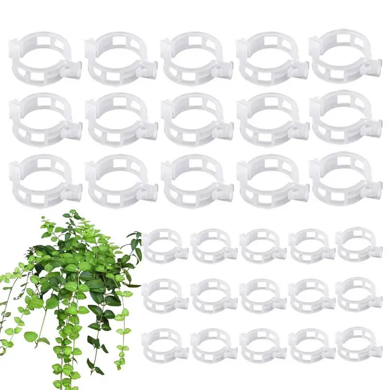 Tomato Clips For String Trellis 100PCS Grape Vine Clamps Fixing Clips For Supporting Climbing Vegetable Stalks Vines Flowers