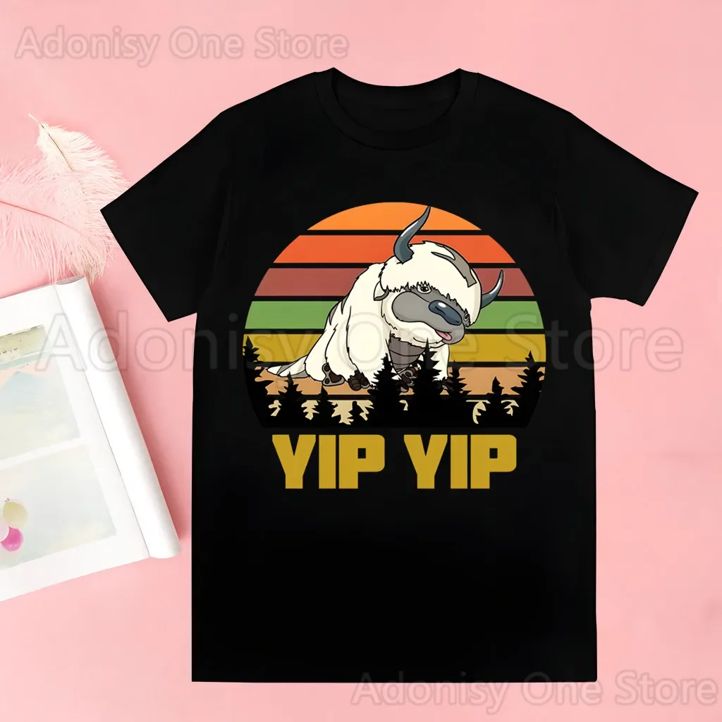 Avatar The Last Airbender Kawaii Anime Appa T Shirt Women 90s Graphic T-shirt Harajuku Tops Tee Short Sleeve Tshirt Female