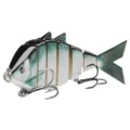 Slate Blue Shad