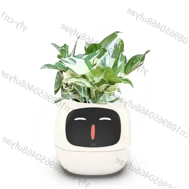 B-M New Smart and Cute Pet Pet Pot Ivy Table Top Green Plants Let Your Plants Express Emotions