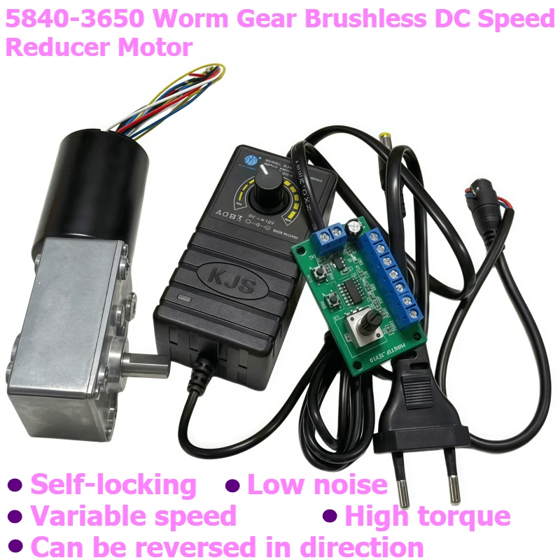 5840-3650 brushless worm gear motor with adjustable power supply, power cord, speed controller