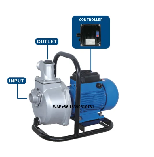 Bluesun  Submersible Water Pump with Solar Panel Mounting System for Agriculture Irrigation and Home Use in Africa