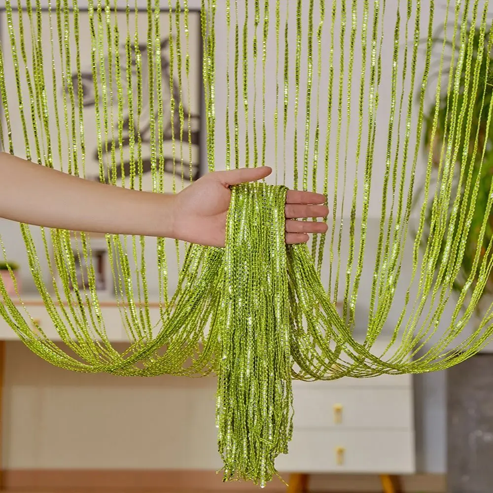 100cm*200cm Straight Line Curtains Straight Line Silver Wire Tassel Door Curtain Multicolor Tassel Door Curtains Living Room