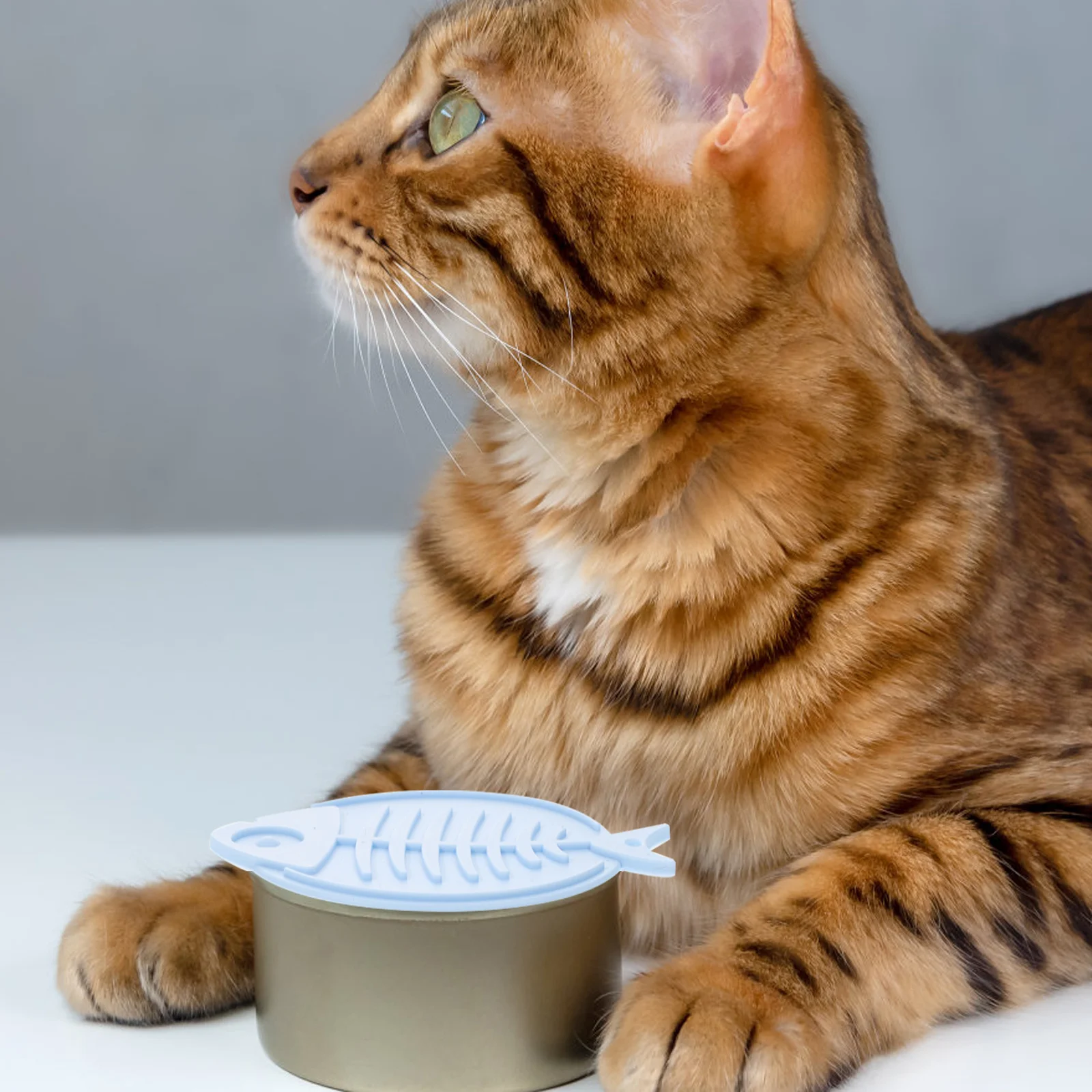 

1 Set Silicone Can Lids Reusable Pet Covers Wear-Resistant Household Compact Dog Cat Food Sealing Lids Leakproof Seal Daily Use
