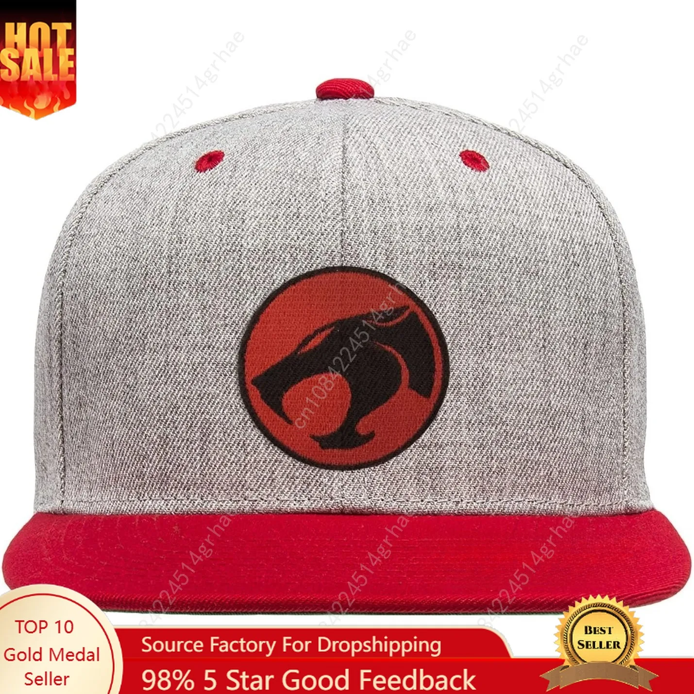 

ThunderCats Officially Licensed Logo Premium Snapback Cap (Heather Grey-Red), One Size