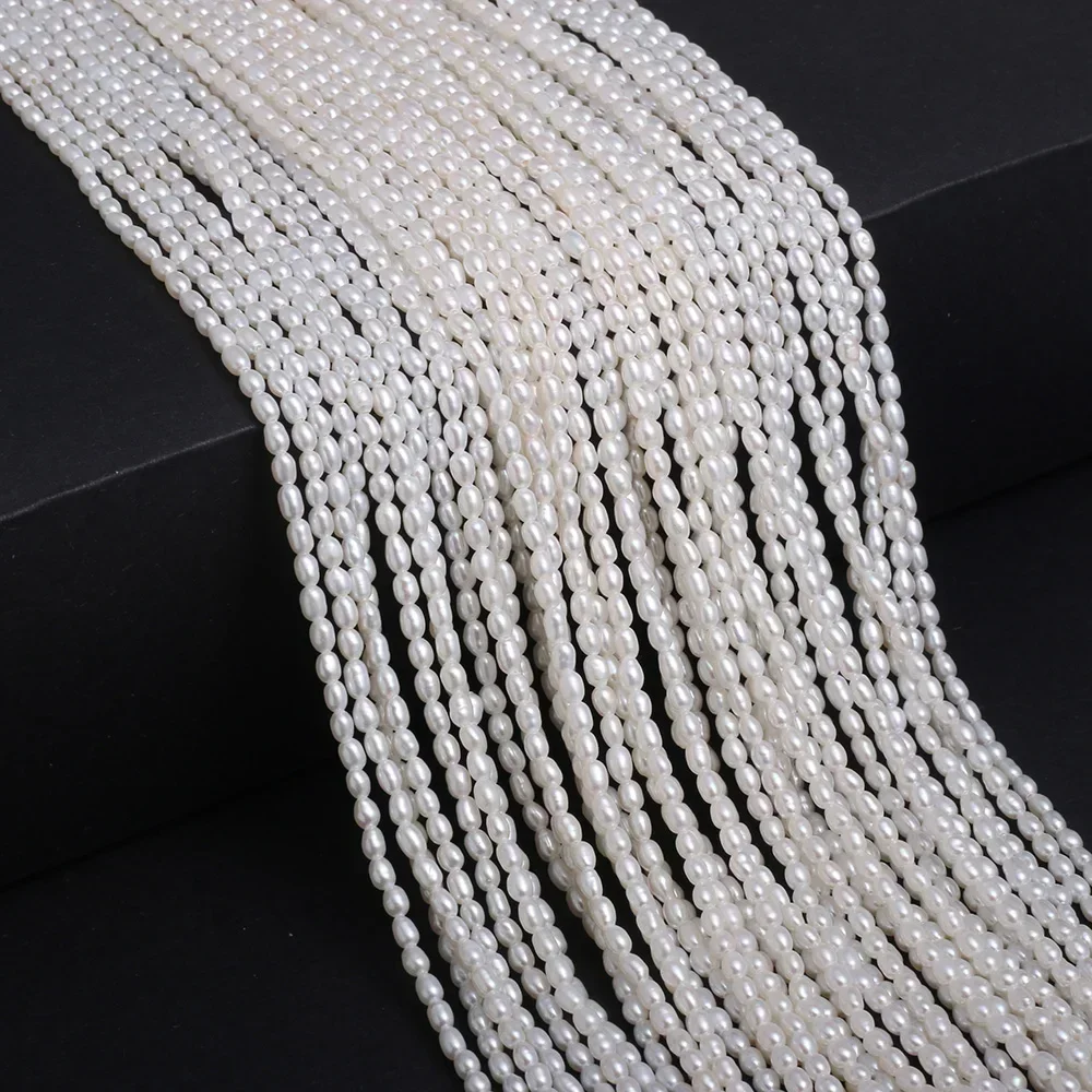 2-5mm AAA Natural Freshwater Pearl Beaded High Quality Rice Shape Punch Loose for Make Jewelry DIY Bracelet Necklace Accessories