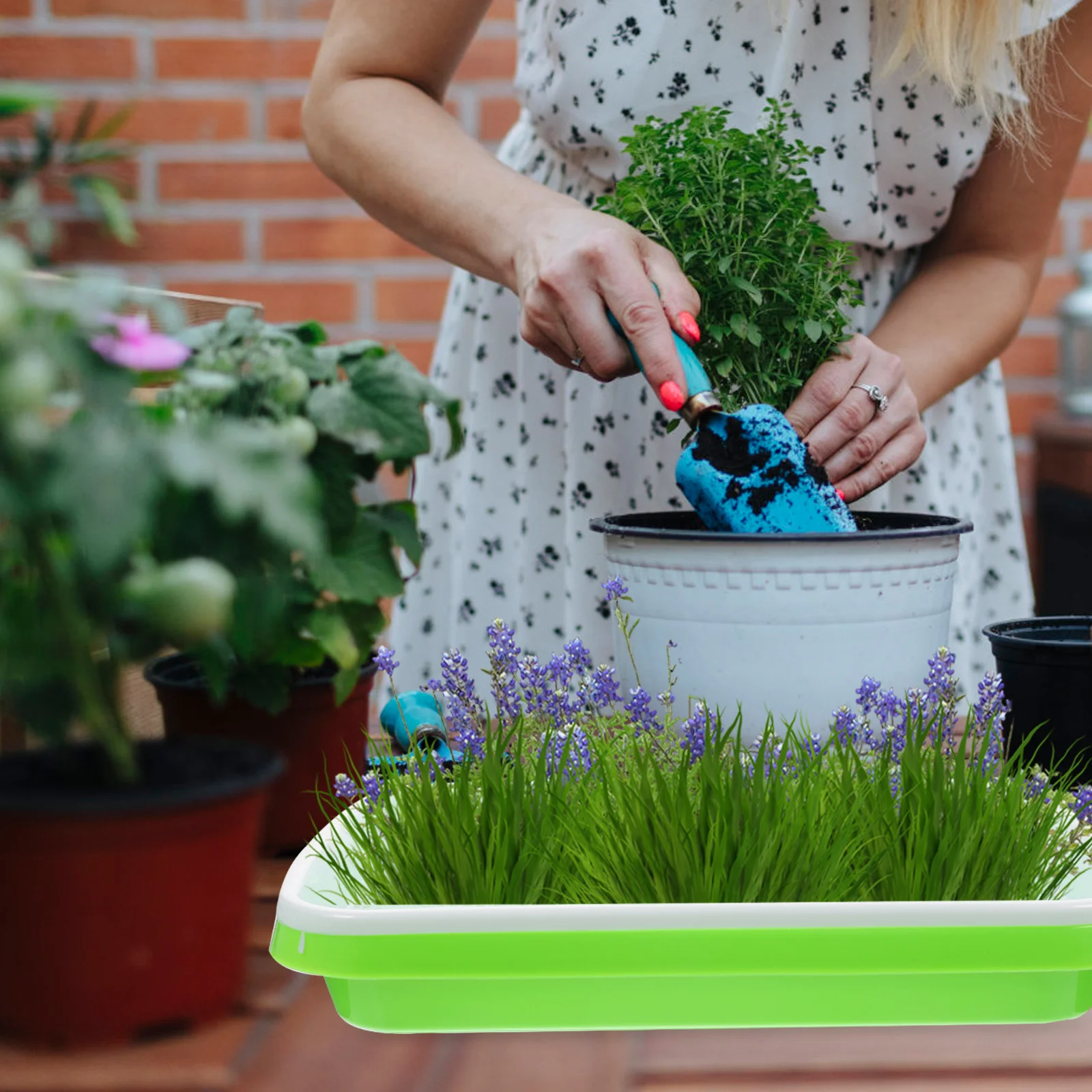 

2pcs Seedling Tray Double Layer Nursery Planter Soil-Free Tray Succulents Starter Container Sprouting Trays Waterproof