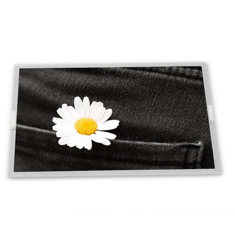 3.7 Inch LS037V7DW0…