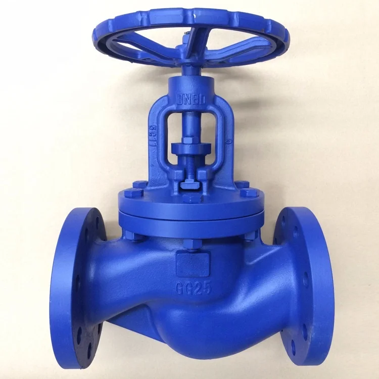 Chinese Manufacturers PN16 DN65 Flanged Cast Iron Globe Valve