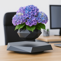 Magnetic Levitation Green Potted Plants Creative Desktop Ornament Magnetic Levitation Bonsai Geometric Plastic Flower Pot