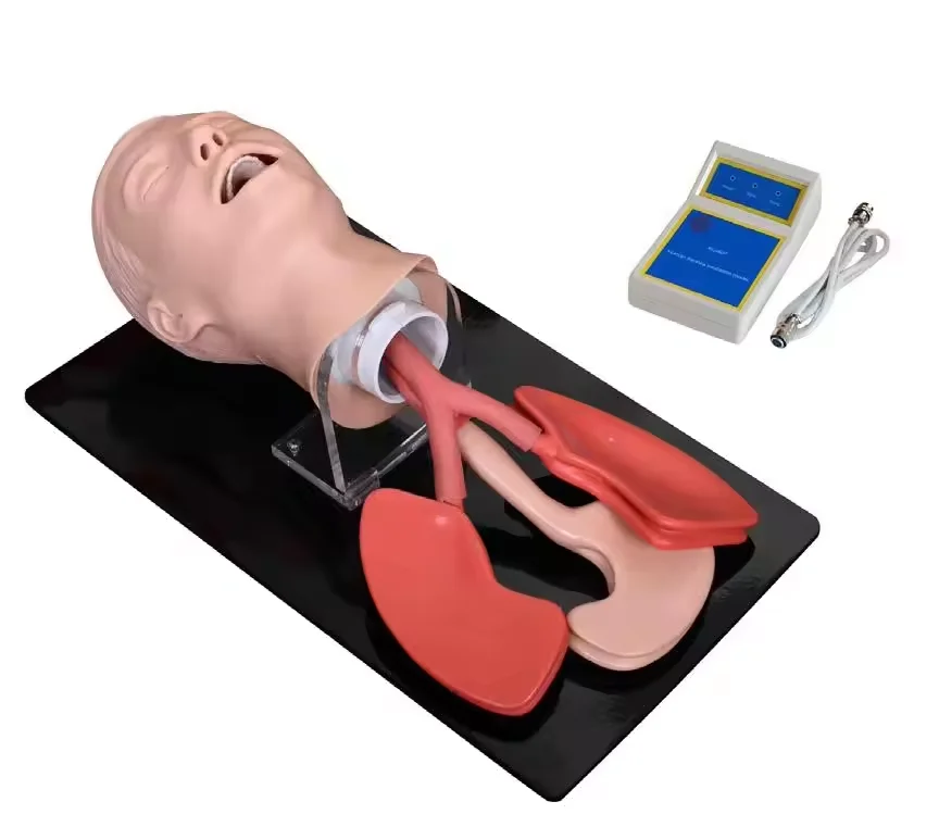 High Quality Mannequin Human Trachea Intubation Model For Human And Infant Newborn Training Medical Science Model