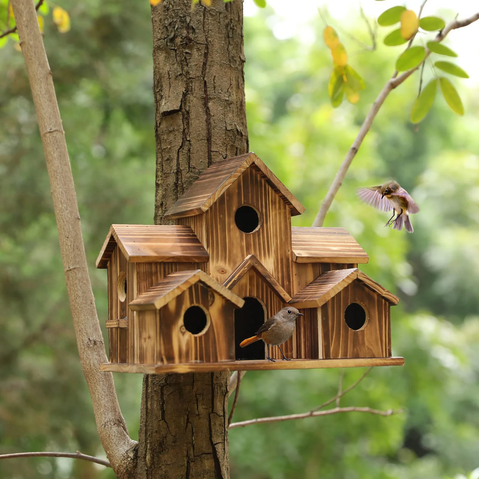 Wooden Bird House 6 Hole Handmade Natural Bird House for Outside Backyard Courtyard Patio Decor