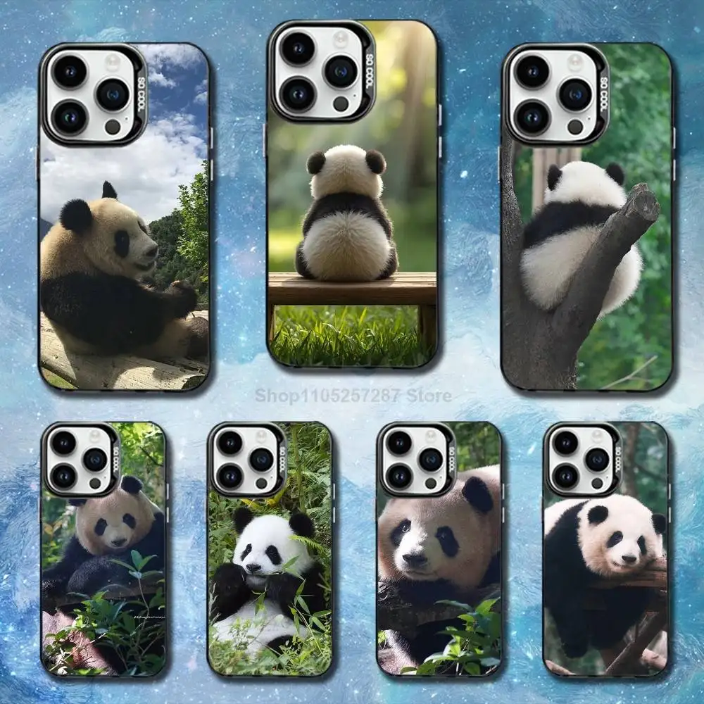 

Cute Animal Panda Phone Case For iPhone 14,17,13,12,11,16,15,Mini,Pro,SE,XS,MAX,Black Matte Silicone Cover