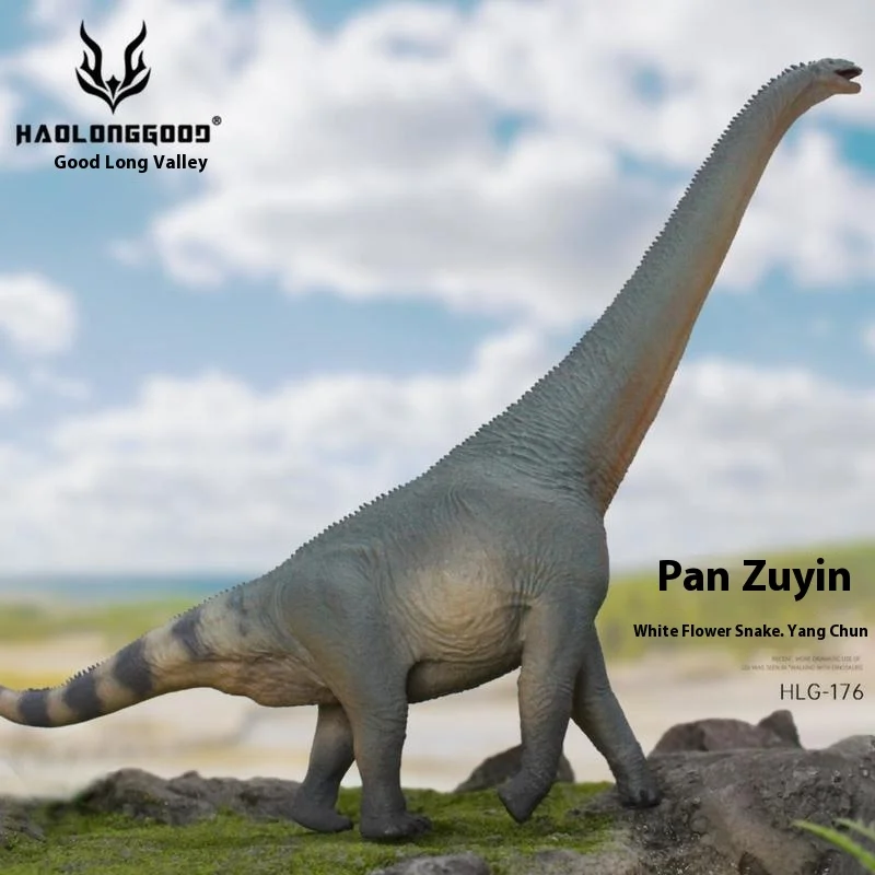 منتج جديد: Haolonggu Panzuosaurus Longnecked Longmenxi Dragon Jurassic Dinosaur لعبة أطفال نموذج هدية 1/35
