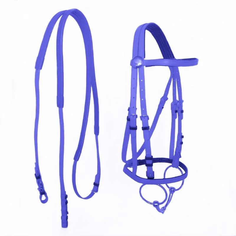 Horse Halter, PVC Bridle Reins Bit Set, Equestrian Tack Accessories, Riding Gear for Horses, Durable and Adjustable