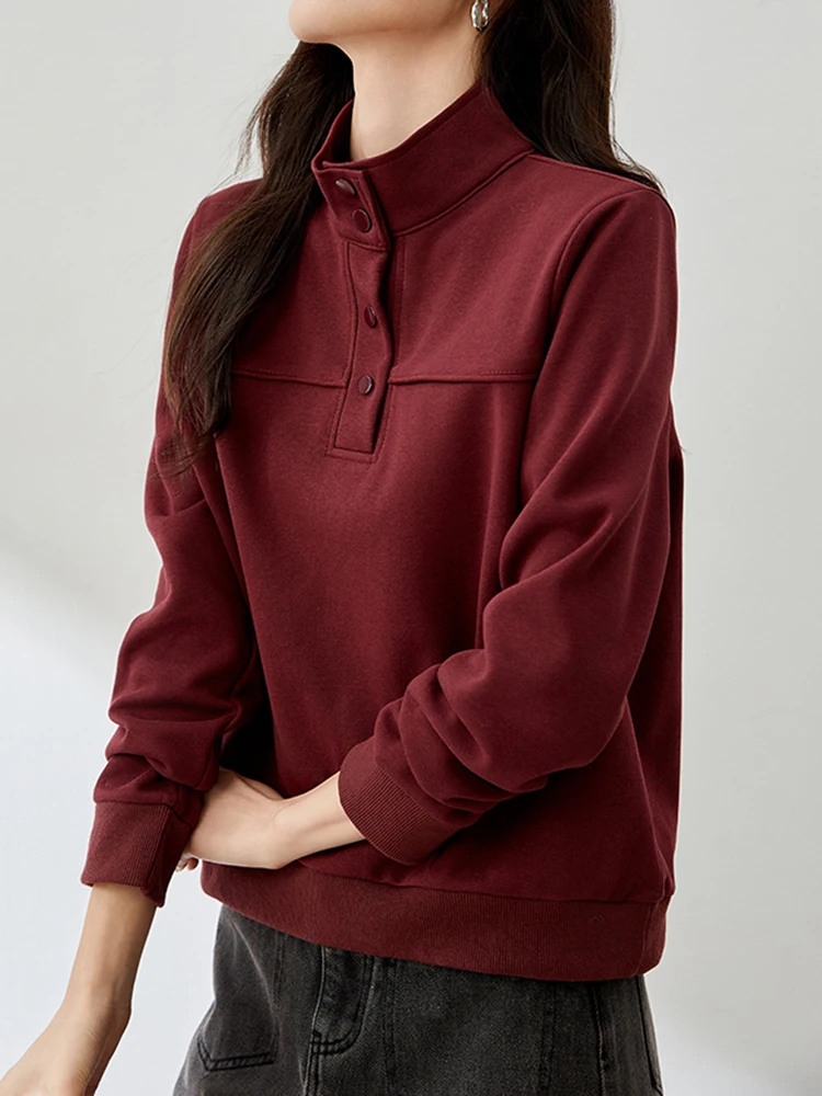 Korean Turtleneck Sweatshirts Long Sleeve Women Pullovers 2025 New Autumn Winter Loose Casual Jumper Korean Fashion Sweatshirts