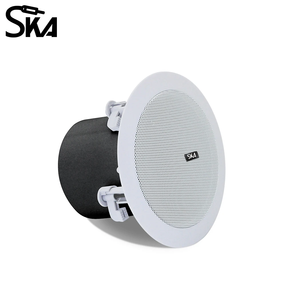 5 بوصة 20 واط الجمهور الغبار سقف محوري المتكلم راحة المنزل جولة نظام الصوت مكبرات صوت الموسيقى السلبية لغرفة النوم الداخلية #3