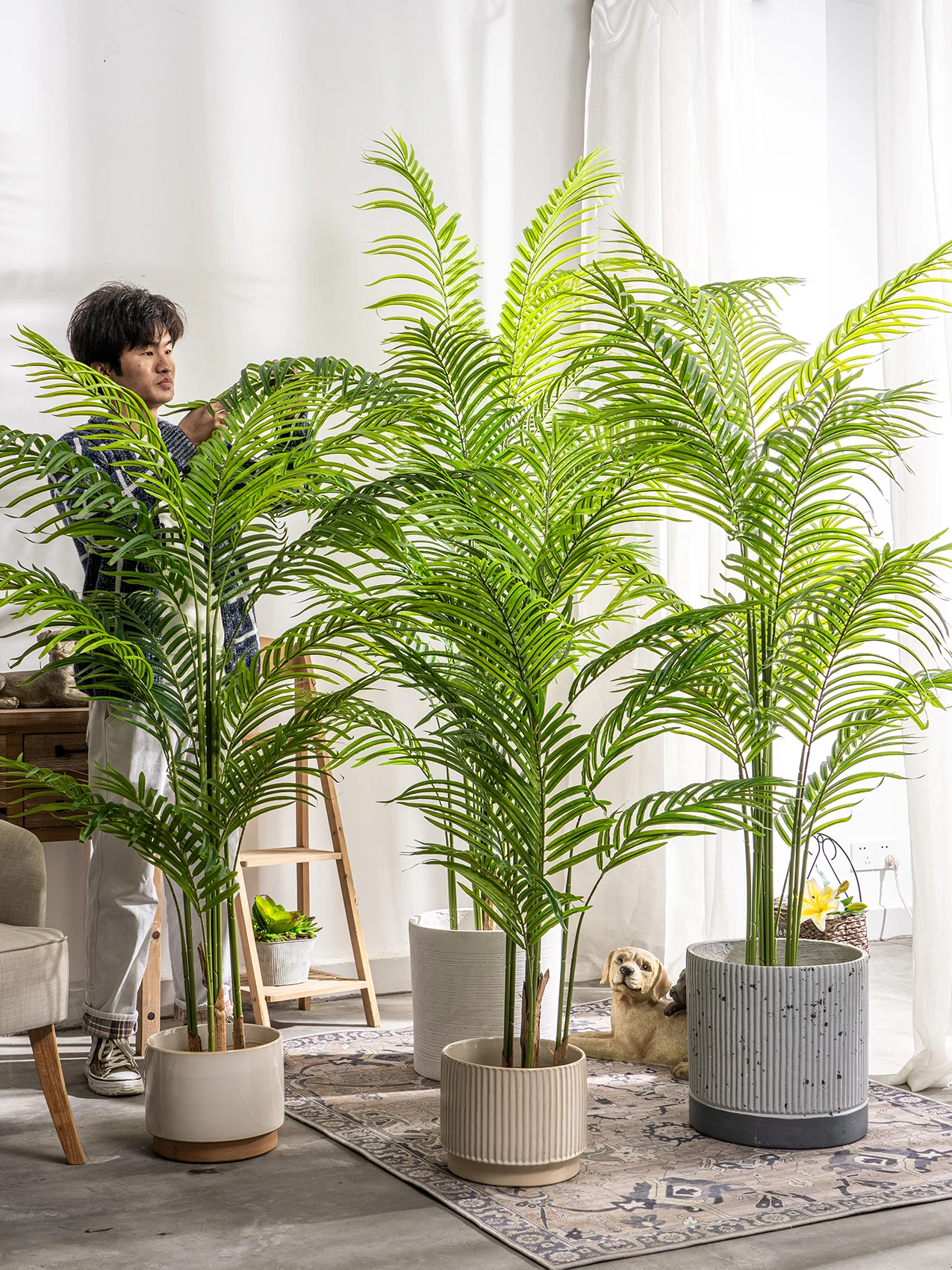 大きな光と熱帯の風景,ゆるいテール,緑の植物,バイオニック,木,竹の装飾を備えた大きな豪華な植物のシミュレーション