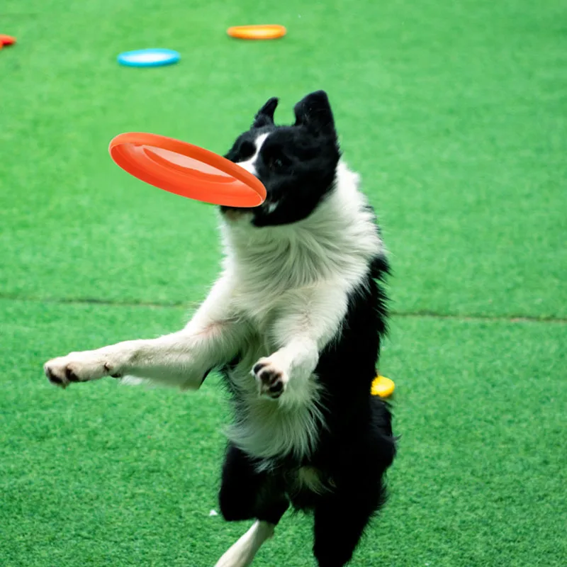Bissfeste Weiche Hundeleiterscheibe Schwimmende Wasserwurfspielzeuge für Haustiere Interaktives Trainingsspielzeug für Welpen Kleine Mittlere Große Hunde – Detail 2